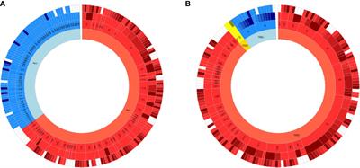 Characteristics of TCR Repertoire Associated With Successful Immune Checkpoint Therapy Responses